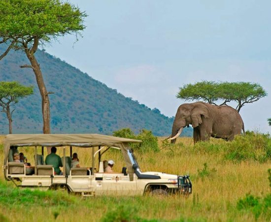 Things to Know Before Going on a Safari in Kenya