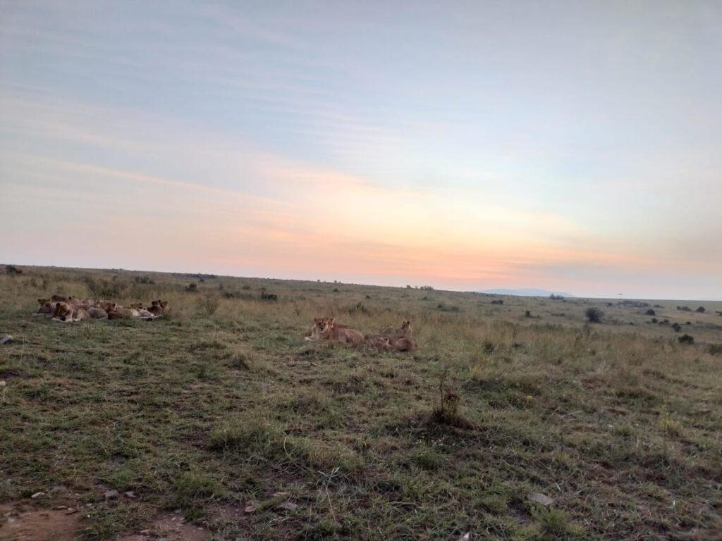 Park Rules and Regulations in Kenya
